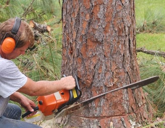 a man is using a chainsaw to cut a tree