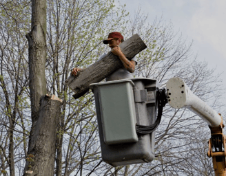 a man is working on a tree stump