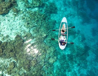 Arrecife de Roatán