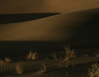 Kyzylkum Desert at night
