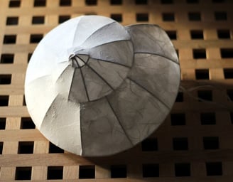 DISCUS VIVID mediterrane Lampe Schneckenlampe Tischlampe Schnecke Dekoration mit Licht weiss