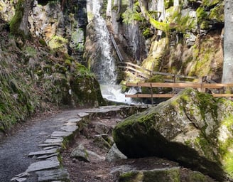 Weg an den Wasserfällen in Menzenschwand