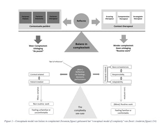 Figuur masterthesis psychosomatische fysiotherapie