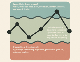 Window of tolerance nederlands