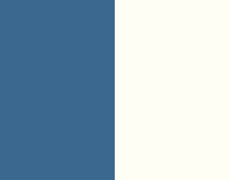 VISUEL 2 COULEURS FOND SITE