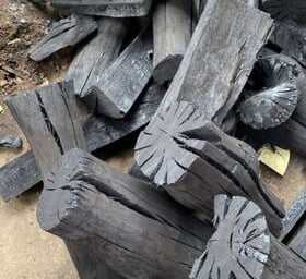 Earthange Vietnam Longan charcoal supplier