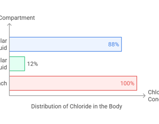 chloride body distribution