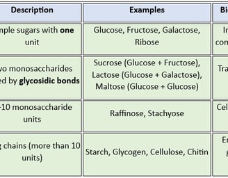 classification_carb_structure