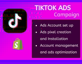 TikTok Ads Management