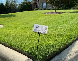 Request a free quote