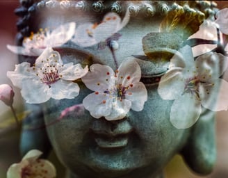 holistic therapies