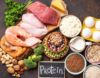 Protein: Building Blocks for Well-being