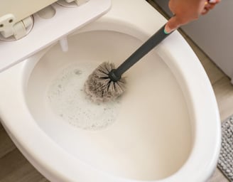 foamy eco-friendly toilet cleaner being brushed with a bamboo brush