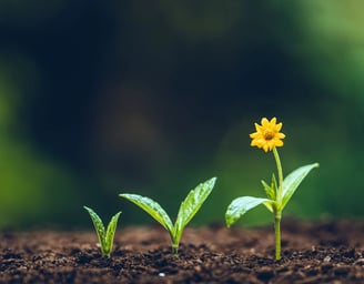 développement ventes et marketing en hôtellerie
