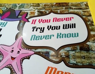 a sign that says if you never try you will never know 