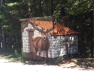 Initiation graff avec activ'ados sur Lans en Vercors, thème : trompe l'oeil, sur un transformateur E
