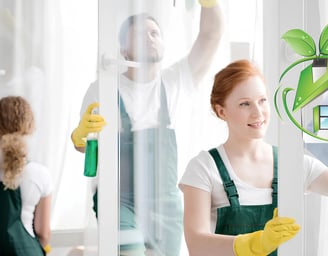 Team in green uniform cleaning glass windows & doors