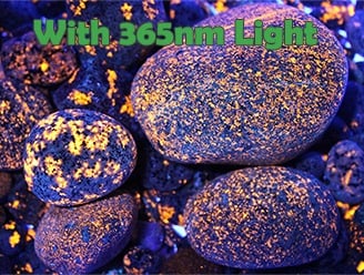 Yooperlite rocks showing with normal light and under 365nm uv light.