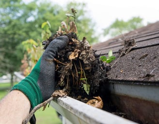 GUTTER CLEANING MEDFORD OREGON