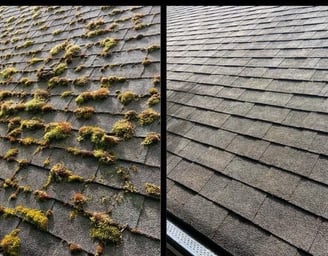 ROOF MOSS REMOVAL MEDFORD OREGON