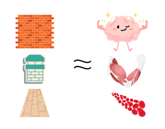 a brain, muscles, blood, wall, chimney and floor