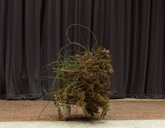 Ikebana performance-installation incorporating collected materials from Chelsea Physic Garden