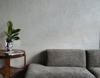 sofa ir augalas