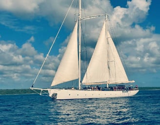 a sailboat sailing on the water