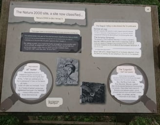History Information Map found in the walking trails of Forêt de Coat-an-Noz