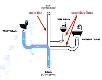 drain cleaning
