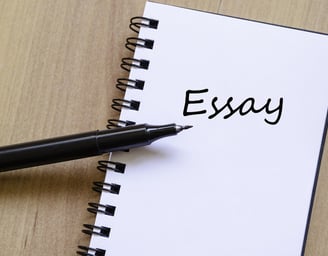 Essay Writing