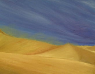Desert Stroll