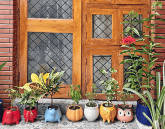 ZM Homestay Agra