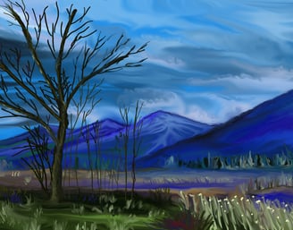 Montana Calm