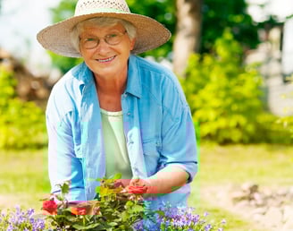 Jardineria Image