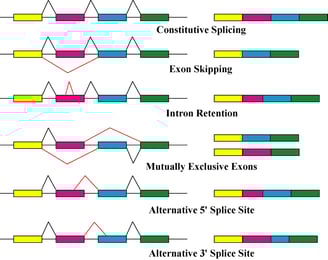 alternative_splicing