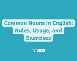 Common Nouns in English: Rules, Usage, and Exercises