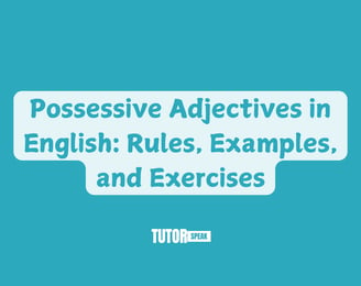 Possessive Adjectives in English: Rules, Examples, and Exercises