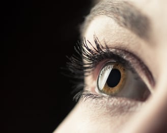 Insights Into Congenital Cataract