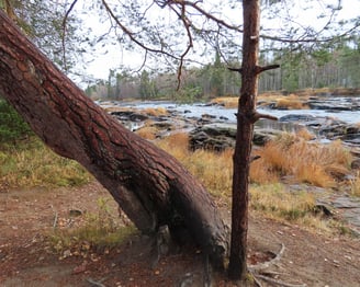 Koitelinkoski Finnland