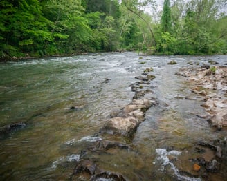 Watauga River Fly Fishing Elizabethton Tennessee