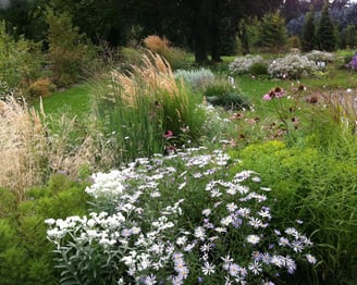 Massif fleuri composé de vivaces, graminées et arbustes dans un jardin paysager naturel
