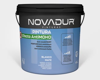a paint - based paint in a paint - based color