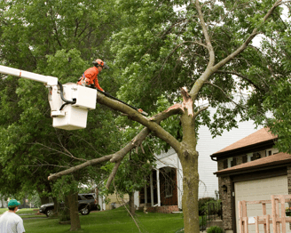 Emergency Tree Services Byron, GA