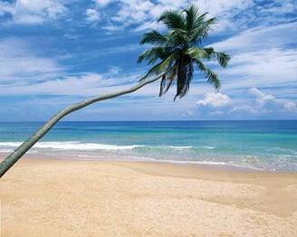 Alankuda beach