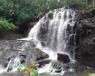 Algama Falls