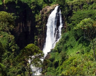 devon falls