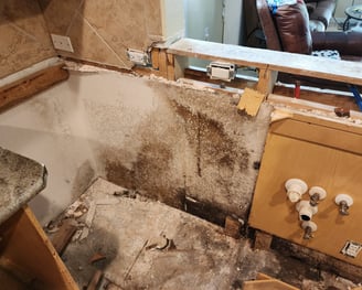 Don't wait for water damage to produce mold