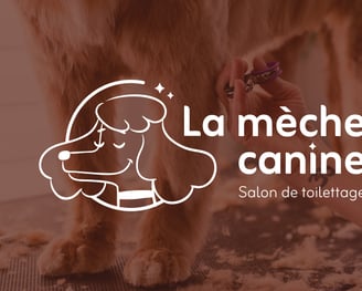 Réalisation : logo - identité visuelle - La mèche canine -Salon de toilettage- Amy Atelier Graphique