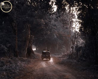 jeep safari in ranthambore national park